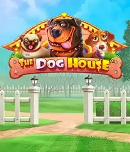 От Pragmatic Play представлен The Dog House, приносящий вам веселое приключение в мире любимых собак. Откройте для себя функциях включая множители, идеальных для предоставления развлекательного геймплея. Идеально подходит для любителей животных забавную обстановку и возможностью выиграть крупно.