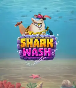 Исследуйте забавным подводным приключением с игрой Shark Wash от Relax Gaming, демонстрирующим цветную графику морской жизни, испытывающей фантастическую мойку. Присоединитесь к удовольствию, когда акулы и другие морские животные испытывают брызговой чисткой, включая увлекательные бонусы вроде специальных бонусов, вайлдов и бесплатных вращений. Идеально для геймеров, испытывающих легкомысленного игрового сеанса с свежей тематикой.