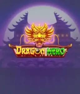 Присоединитесь к легендарное приключение с Dragon Hero Slot от Pragmatic Play, освещающей потрясающую визуализацию древних драконов и героических битв. Откройте землю, где легенда встречается с приключением, с символами вроде сокровищ, мистических существ и зачарованных оружий для триллерного слот-опыта.